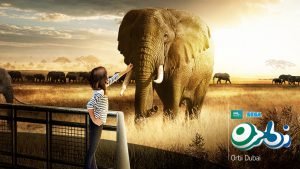African Elephants Orbi Dubai