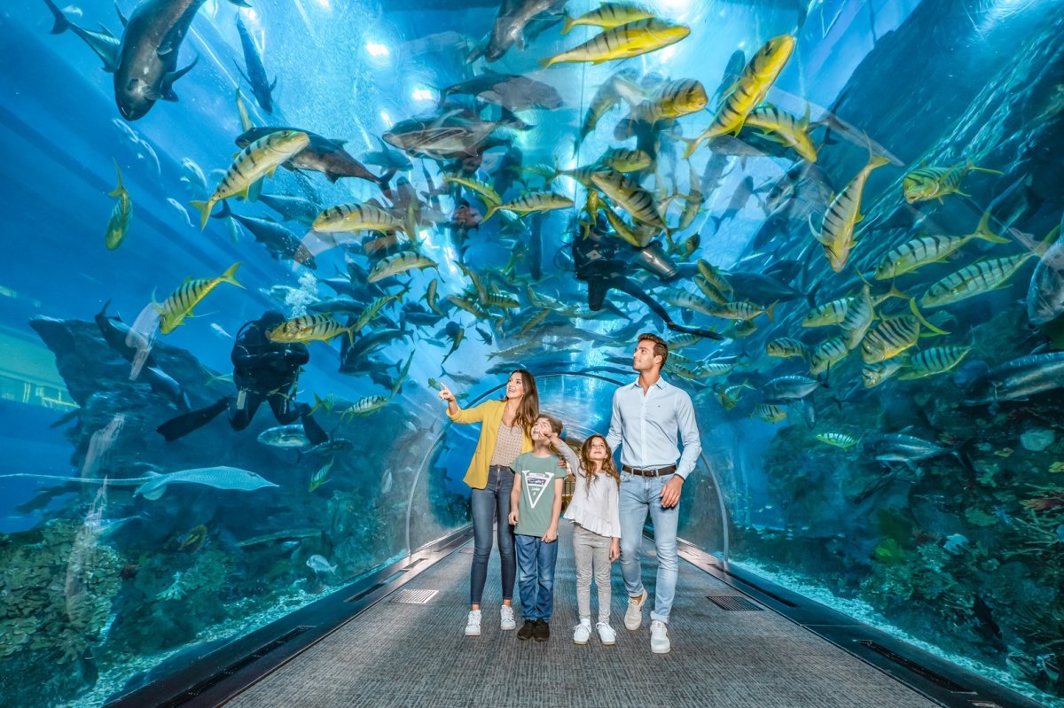 Dubai Aquarium And Underwater Zoo - Tickets, Timings, Contact, Location