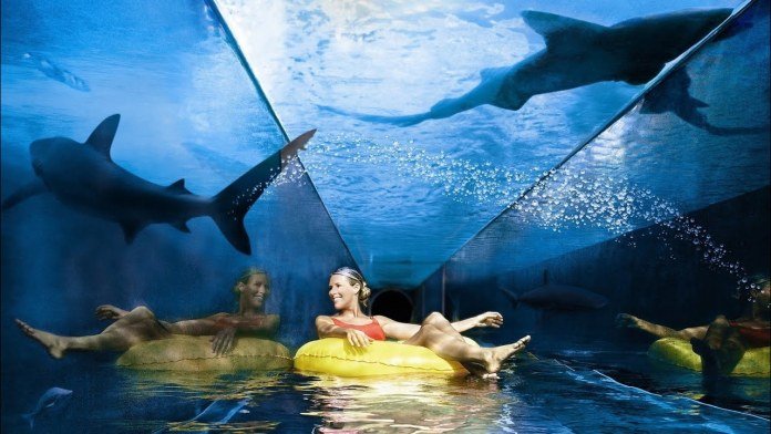 All About Atlantis Aquaventure Dubai — Rides, Ticket Price, Timings, Map