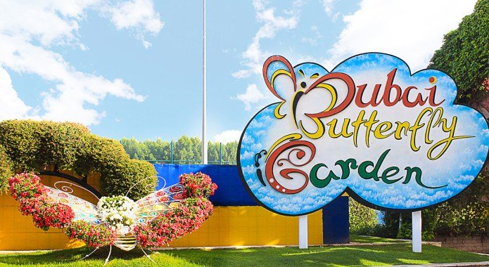 Dubai Butterfly Garden 