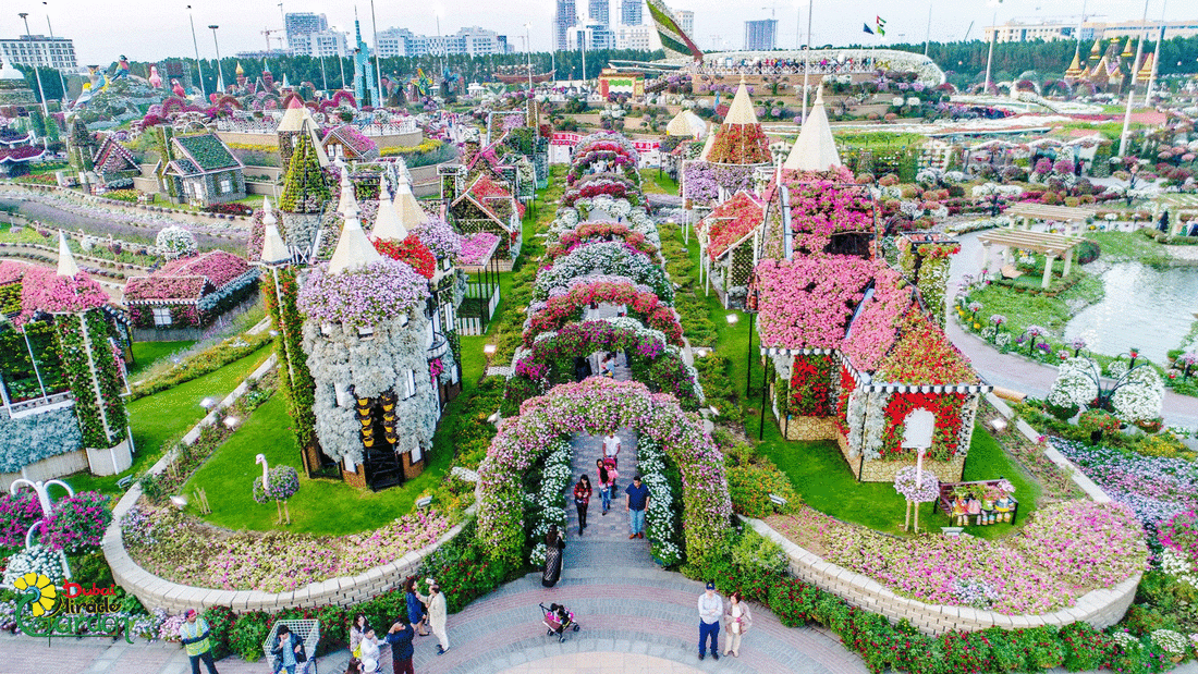 Dubai Miracle Garden - Best family-friendly attractions in UAE