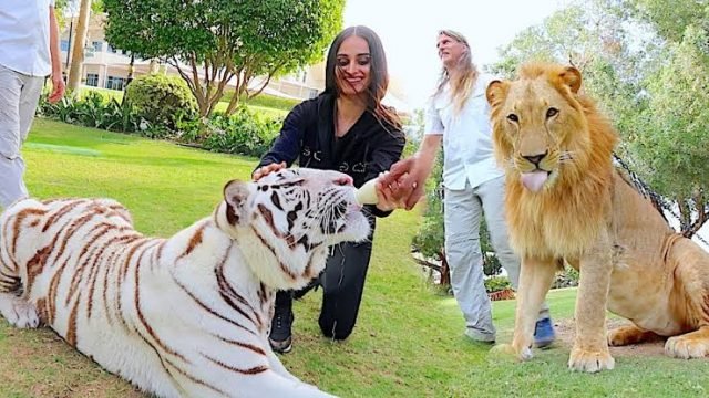 [Video] Visiting The Palace of The Dubai Royal Family — Mo Vlogs