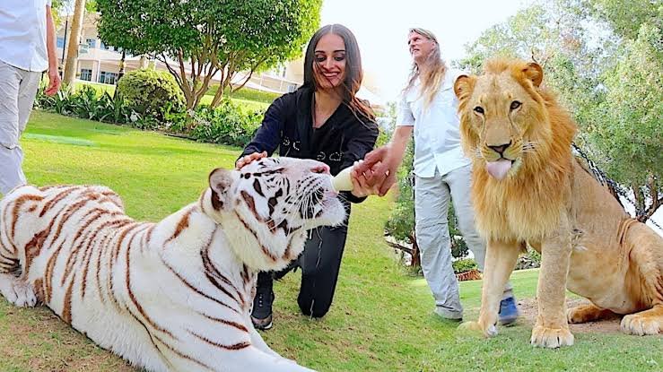 [Video] Visiting The Palace Of The Dubai Royal Family -- Mo Vlogs