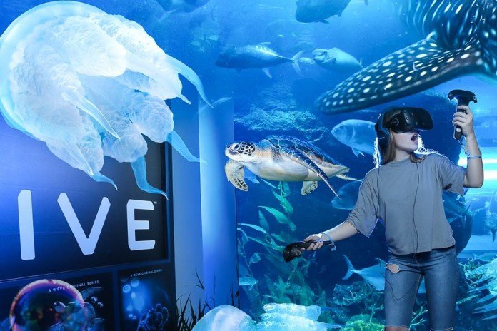 Dubai Aquarium VRZoo 