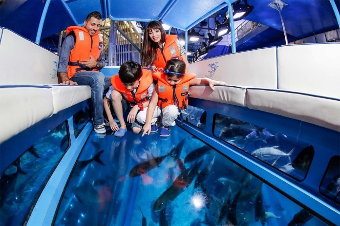 Dubai Mall Glass-Bottom Boat Rides