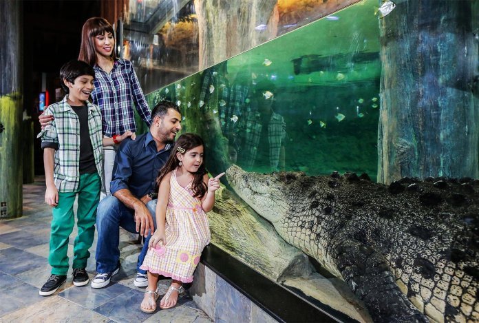 Dubai Mall King Croc