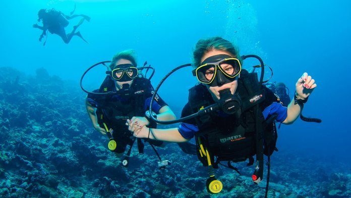 Dubai Aquarium Specialty Dives