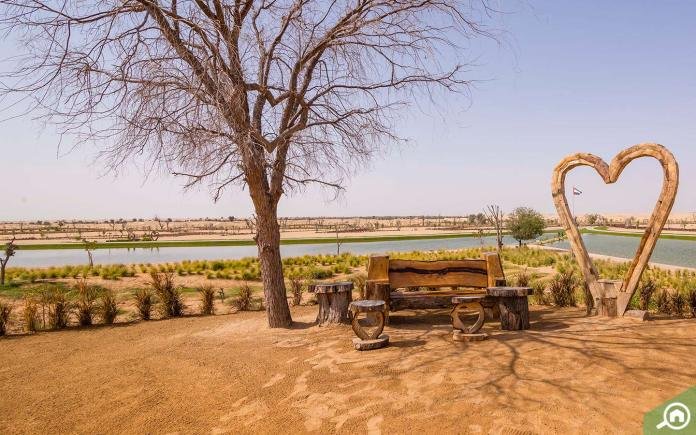 Al Qudra Lake