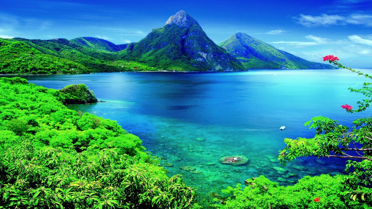 Top 4 Second Citizenship Programs In The Caribbean For 2022