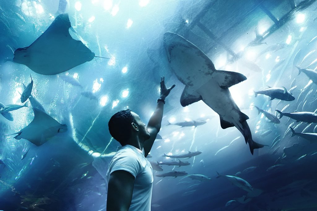Aquarium in Dubai - Dubai Family Holiday