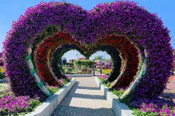 Dubai Miracle Garden: Location, Timing & Tickets