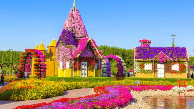 Dubai Miracle Garden: Location, Timing & Tickets