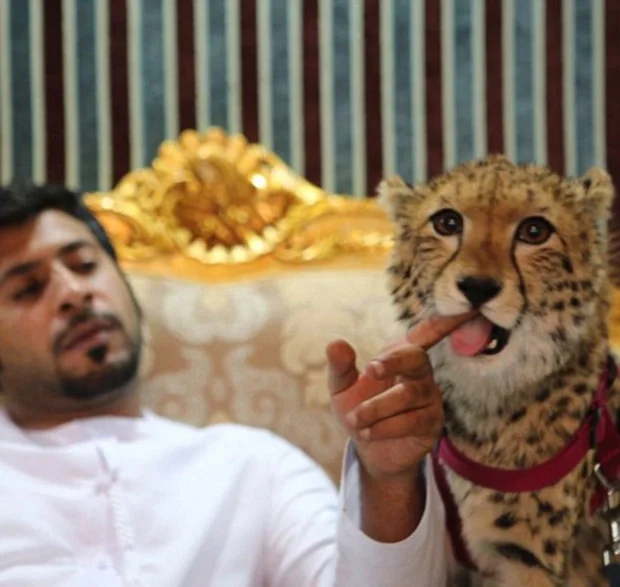 Find How the Richest People Insanely Spend their Money in Dubai