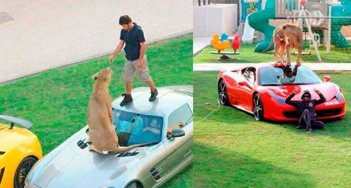 Find How the Richest People Insanely Spend their Money in Dubai