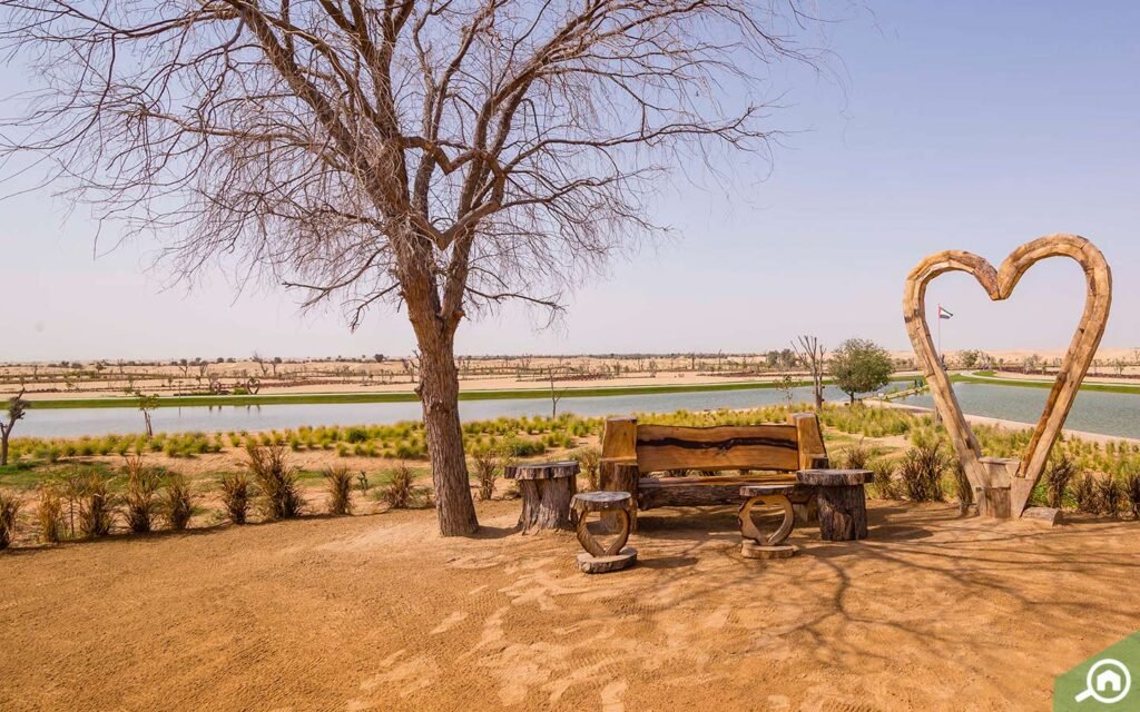 Visit Al Qudar Lake & Love Lake For Exotic Winter Experience In Dubai