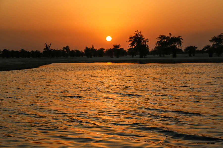 Visit Al Qudar Lake & Love Lake For Exotic Winter Experience In Dubai