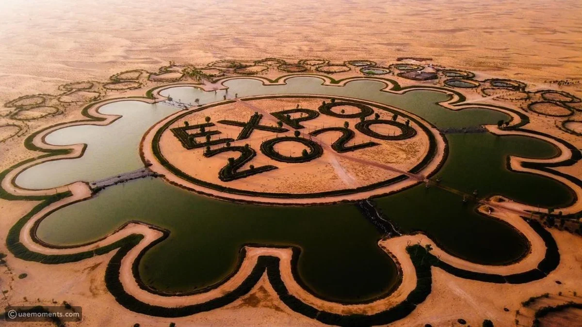 Dubai Expo Lake 2020 - Beautiful Artificial Lake Combination Of Sand And Flowers
