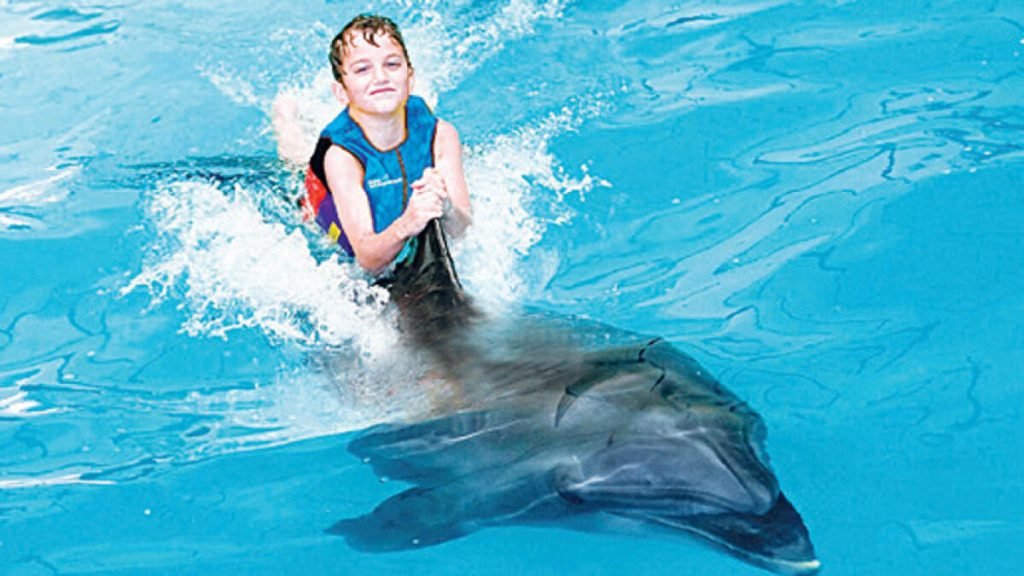 Dubai Dolphinarium 2023 – Bird, Dolphin, and Seal Show for Enjoyment