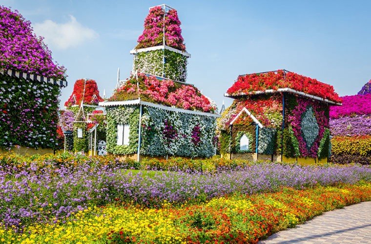 Miracle Garden Dubai