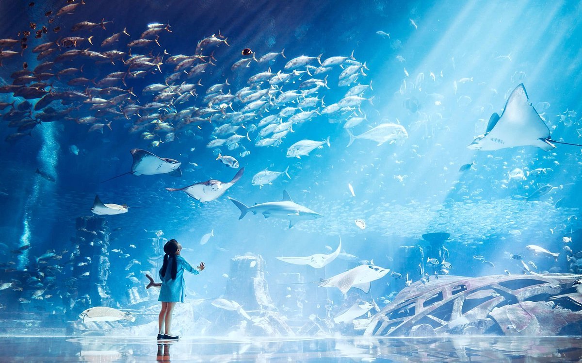 Aquaventure Waterpark - Enjoy A Day Full Of Fun At The No. 1 Fun Park In Dubai 