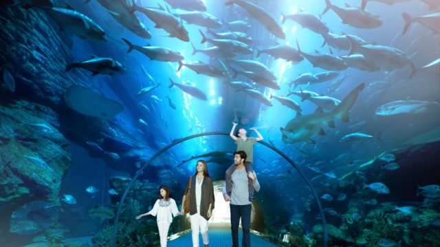 Underwater World of Dubai Aquarium 2023 | Have Fun at Underwater Zoo