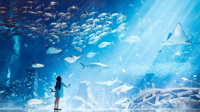 Aquaventure Waterpark – Enjoy a Day Full of Fun At the No. 1 Fun Park in Dubai 
