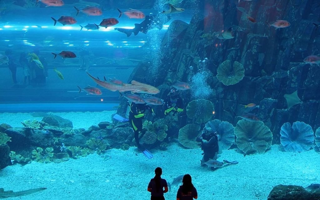 Underwater World of Dubai Aquarium 2023 | Have Fun at Underwater Zoo
