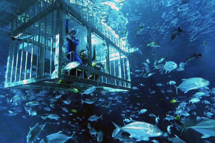Underwater Zoo Dubai