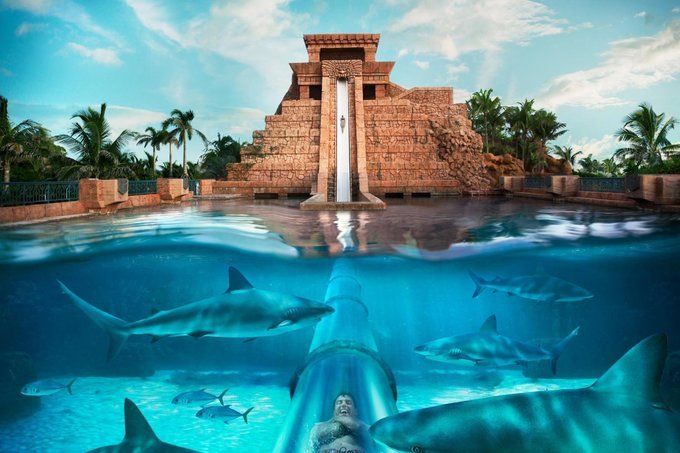 Aquaventure Waterpark - Enjoy a Day Full of Fun At the No. 1 Fun Park in Dubai 