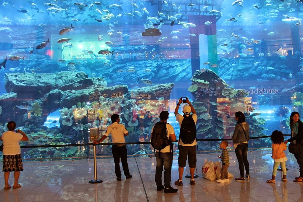 Dubai Aquarium