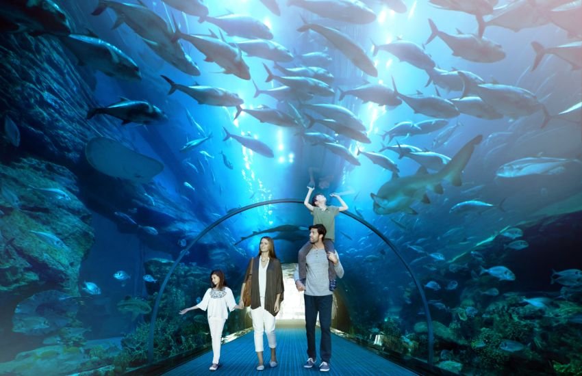 Underwater World Of Dubai Aquarium 2023 | Have Fun At Underwater Zoo
