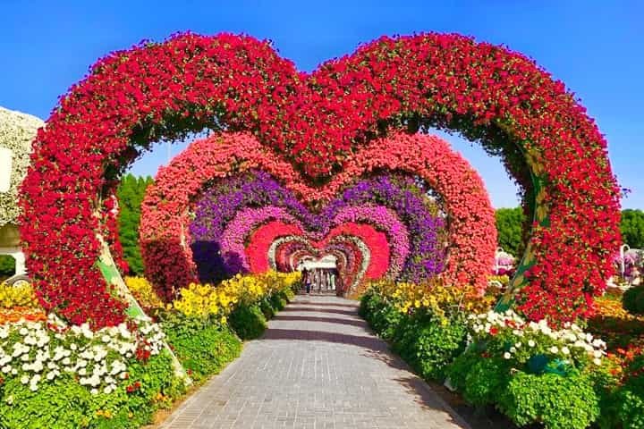Miracle Garden Dubai