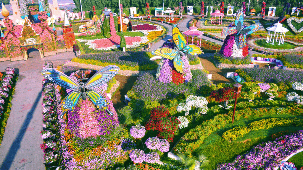 Dubai Butterfly Garden 2023 | Explore Diverse Beauty | All Information You Need