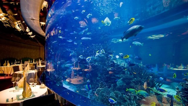 3 Best underwater Restaurants in Dubai for Luxurious Dining | You Will Regret If you Do not Visit