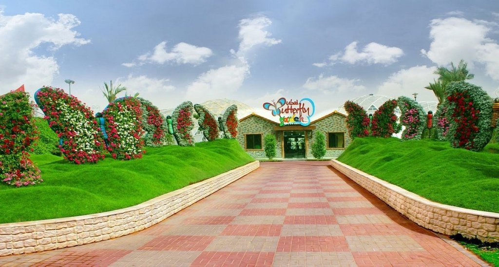 Dubai Butterfly Garden 