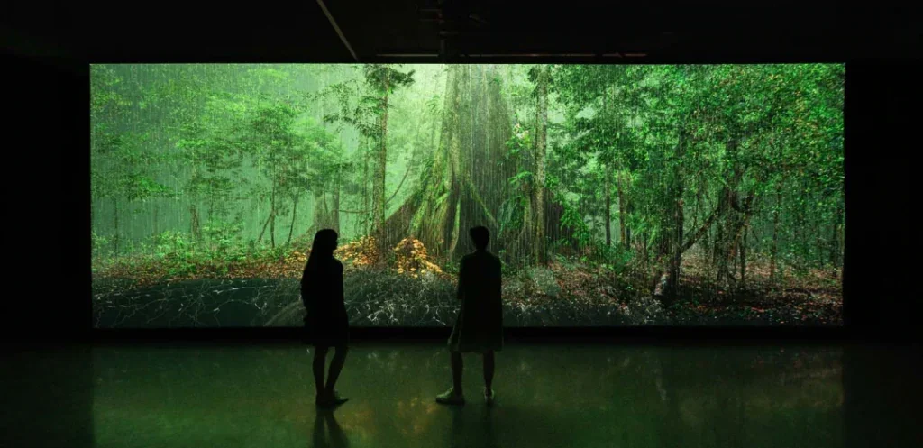 Museum Of The Future 2023| Enjoy Traditional Exhibits, Immersive Theatre, and Themed Attractions
