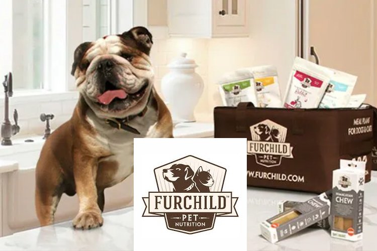 Pet Stores in Dubai