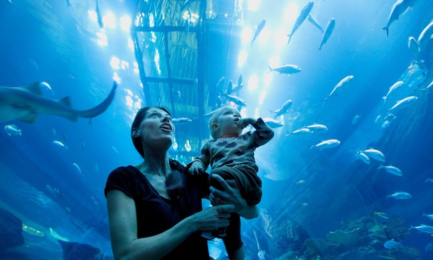 Sharjah Aquarium