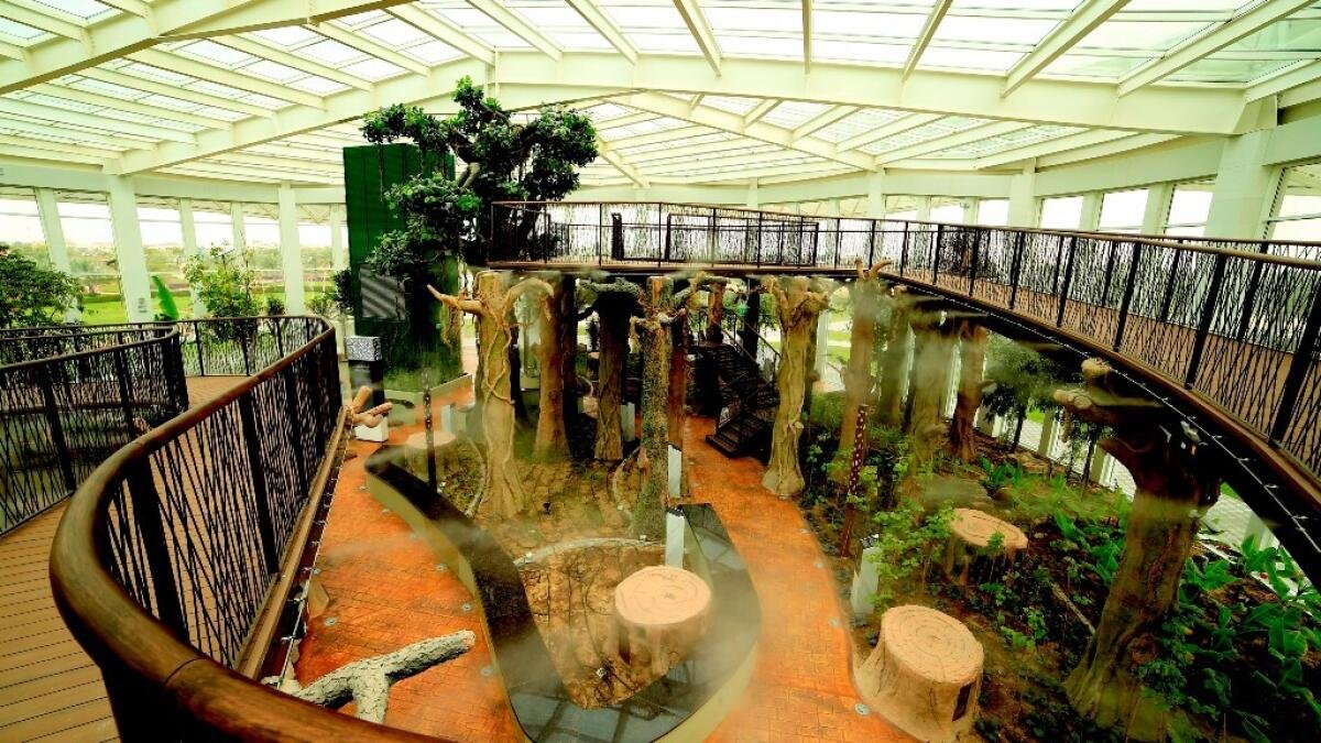 Parks In Dubai 2023| Facilities, Tickets, Timings | Spend Quality Family Time!