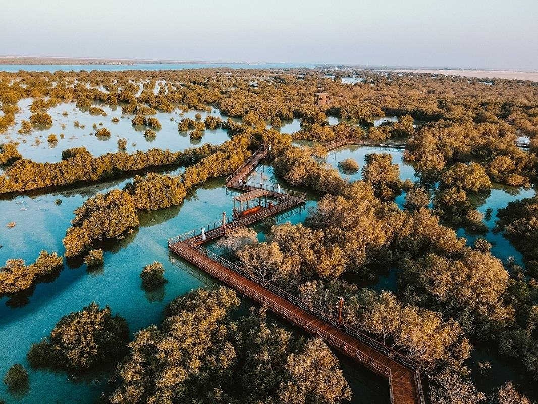 Jubail Mangrove Park - About Activities, Tickets, And Price - Enjoy Tourist And Educaitonal Spot