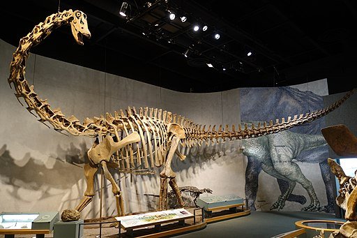 <strong>Dinosaur Park in Dubai You Should Know Everything Before You Go - Complete Guide 2023</strong>