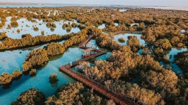 Jubail Mangrove Park – About Activities, Tickets, and Price – Enjoy Tourist and Educaitonal Spot