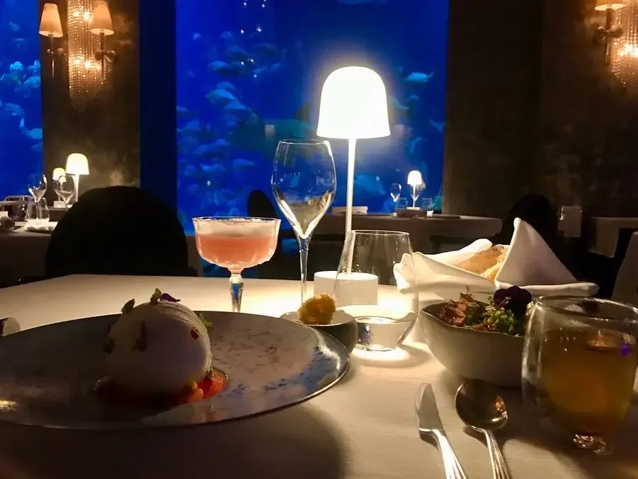 Stunning Underwater Hotel in Dubai | Price, and Facilities at Underwater Suits Dubai 2023