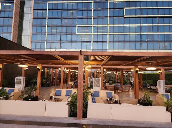 7 Top-Rated Restaurants Near Park Rotana Dubai: Guide for Food Lover for Local Dining
