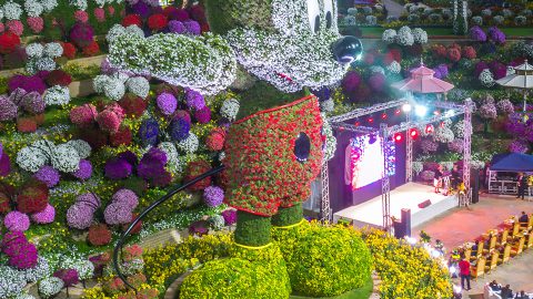 Dubai Miracle Garden Reopens Sunday With Measures Against Covid-19