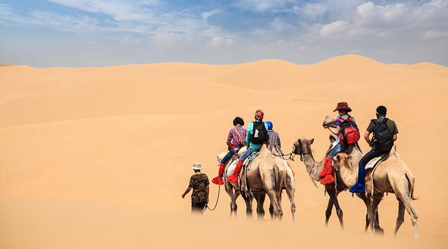 Dubai Camel ride tours - Dubai Desert Safari