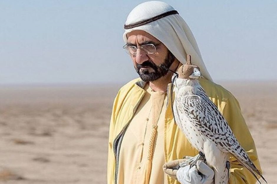 Dubai Falcon - Mohammed bin Rashid Al Maktoum