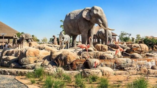 Safari Park Dubai – The things you should not Miss – Complete Guide 2023