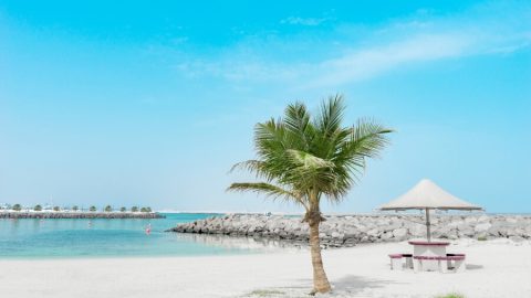 Al Mamzar Beach 2023: Best Beach that uses Artificial Intelligence Technologies