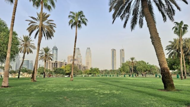 Safa Park Dubai: A Relaxing Getaway with Lakes, Play Areas, and More | Guide 2023